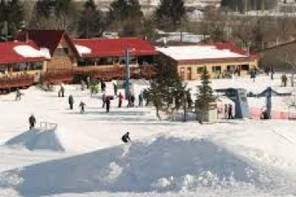 1913 Love Shack Bethel White Lake Ny Εξωτερικό φωτογραφία